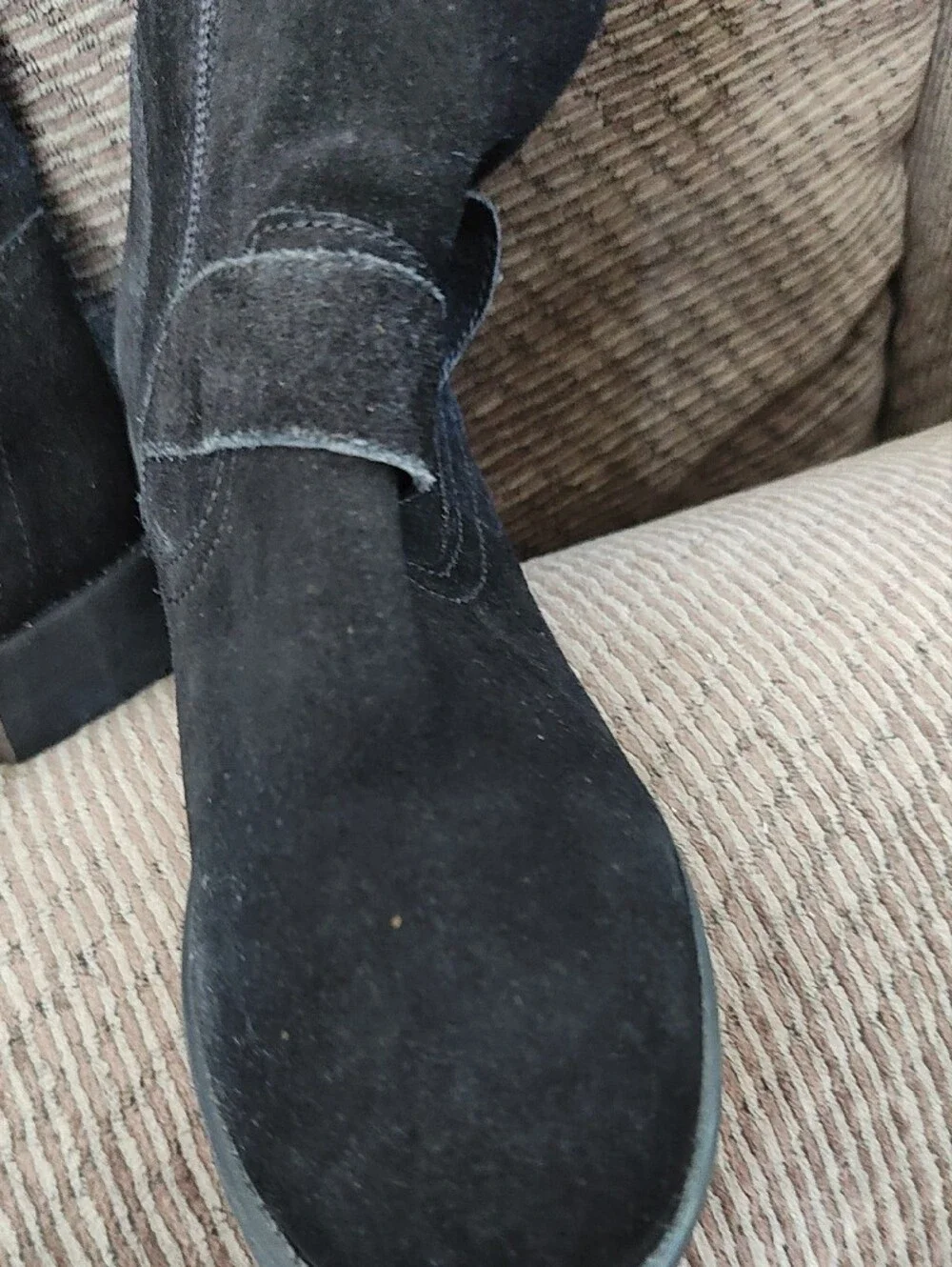 Steve Madden Women's Black Suede Ankle Boots with Decorative Buckles